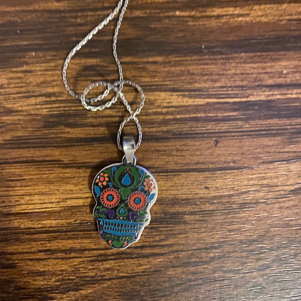 Alex and Ani Skull necklace you can either wear it short or long